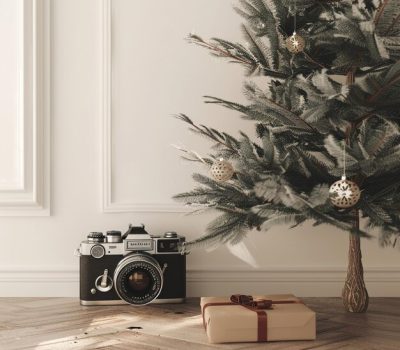 vintage-camera-bare-artificial-christmas-tree_1236033-19522