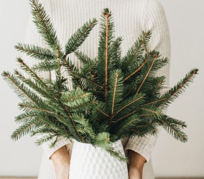 young-pretty-woman-white-dress-holding-vase-with-fir-branches-bouquet_408798-2056